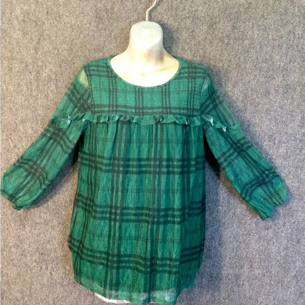 SIGNATURE STUDIO sheer lined BLOUSE.  Long sleeve, ruffle trim, elastic bodice.
